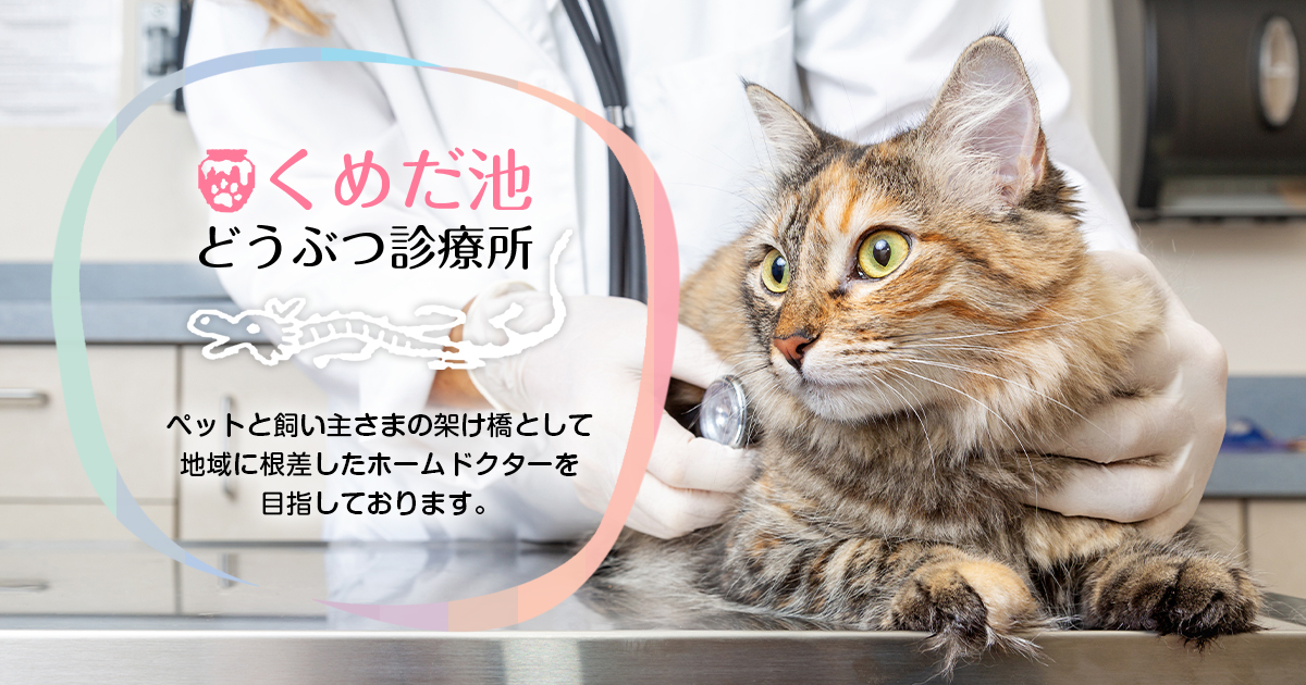 くめだ池どうぶつ診療所の写真(大阪府岸和田市)